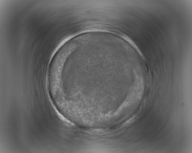 X0000080681101200701051028