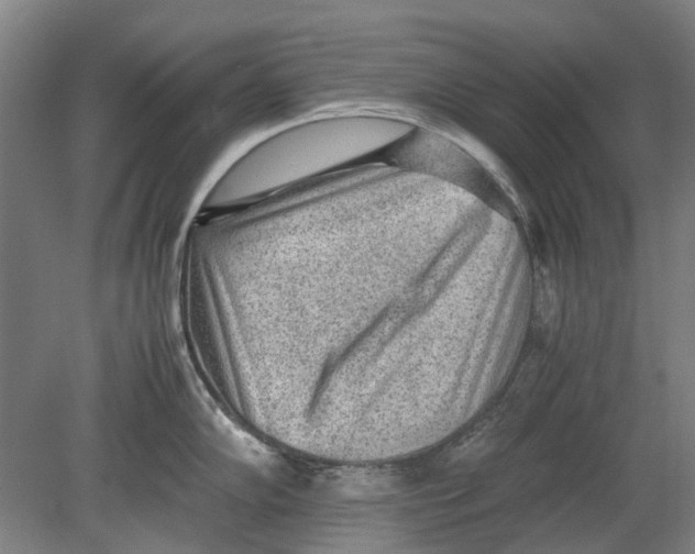 X0000080681102200701051028