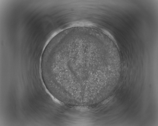 X0000080681103200701051028