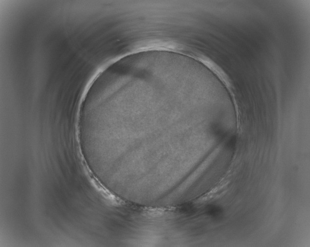 X0000080681104200701051028