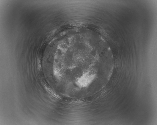 X0000080681106200701051027