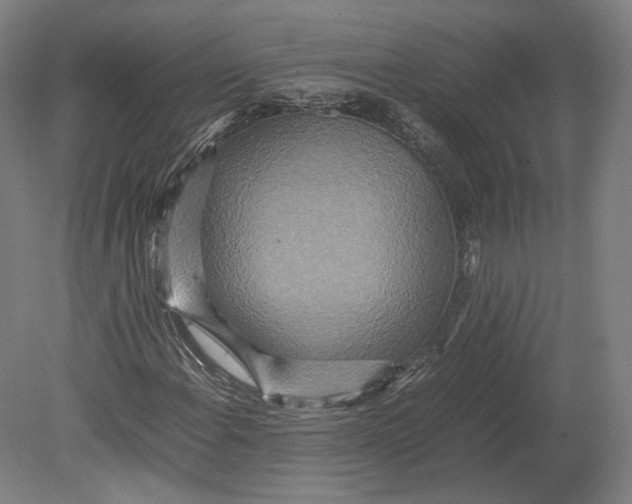 X0000080681108200701051027