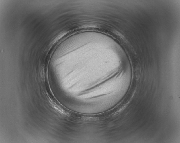 X0000080681113200701051027