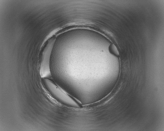 X0000080681114200701051027