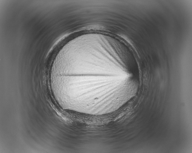 X0000080681115200701051027