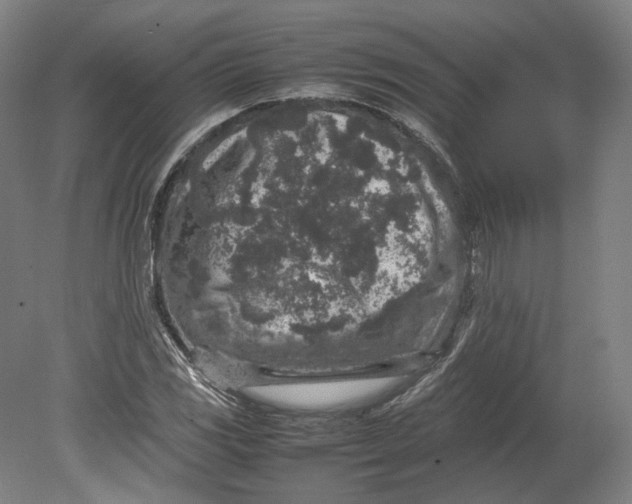 X0000080681117200701051027