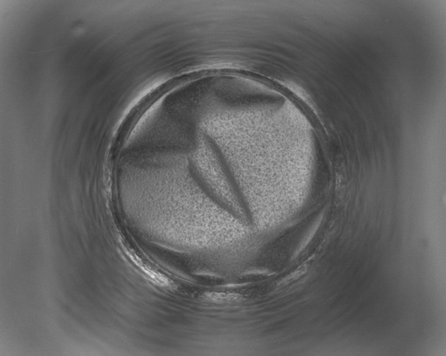 X0000080681119200701051027