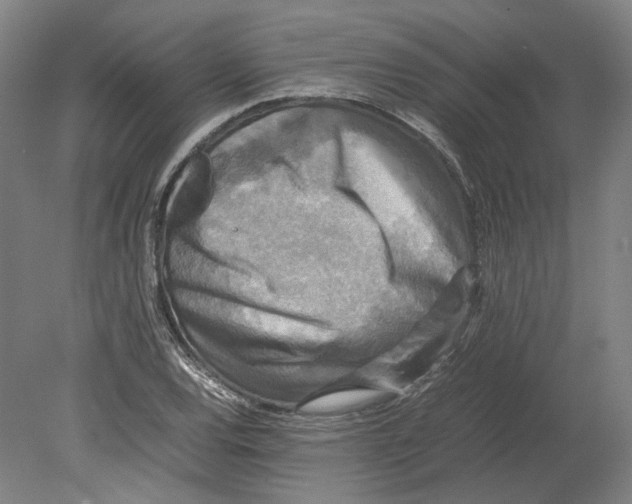 X0000080681120200701051027