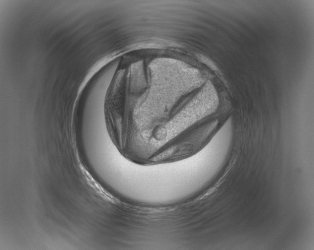 X0000080681122200701051027