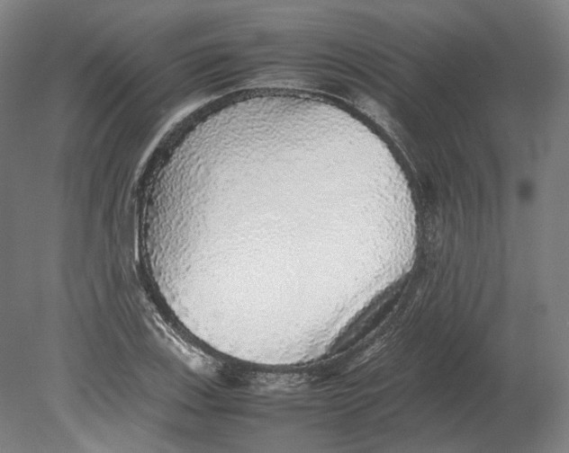 X0000080681123200701051027