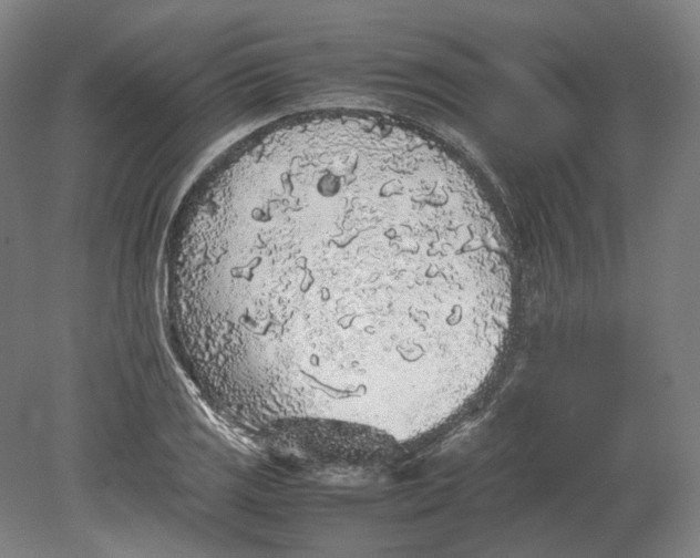 X0000080681125200701051027