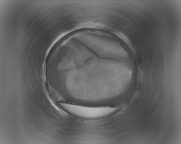 X0000080681128200701051027