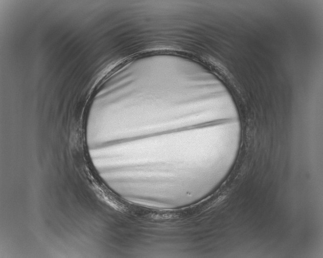 X0000080681129200701051027