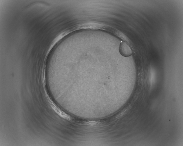 X0000080681130200701051027