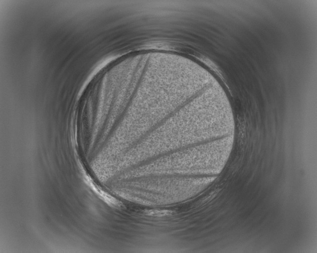 X0000080681131200701051027