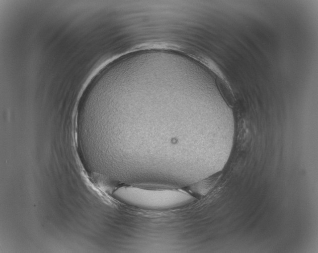 X0000080681132200701051027