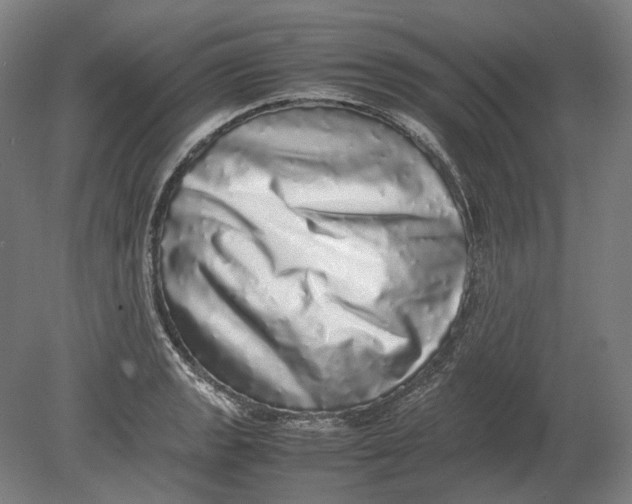 X0000080681133200701051027