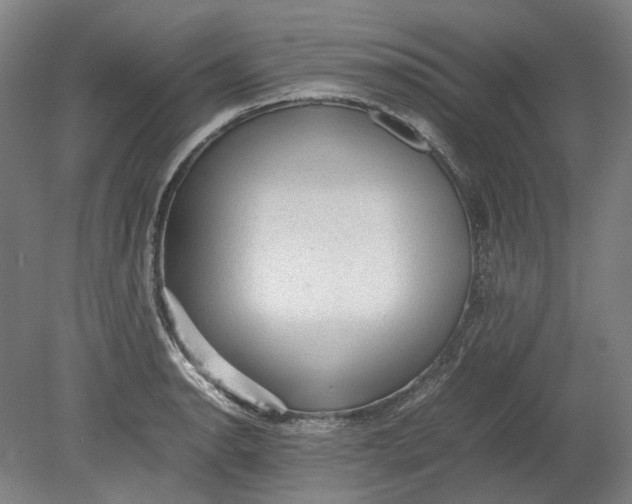 X0000080681134200701051027