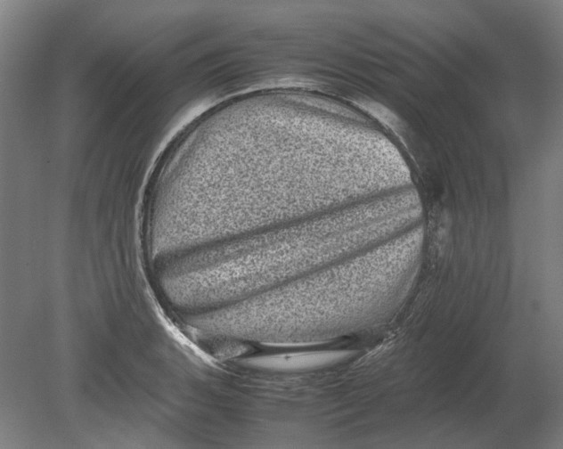 X0000080681135200701051027