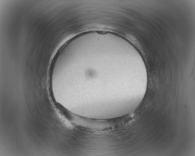 X0000080681136200701051027