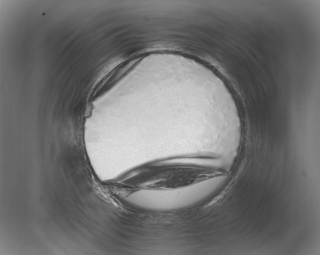 X0000080681137200701051027