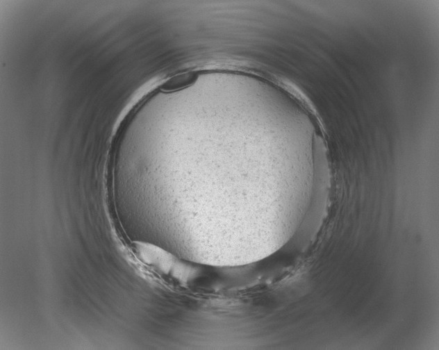 X0000080681138200701051027