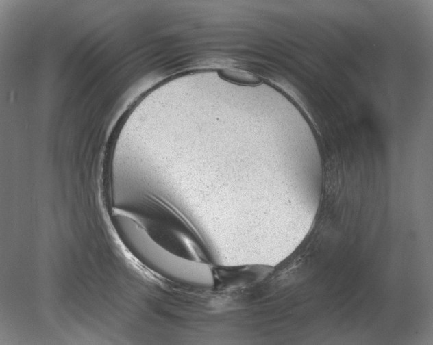 X0000080681139200701051027