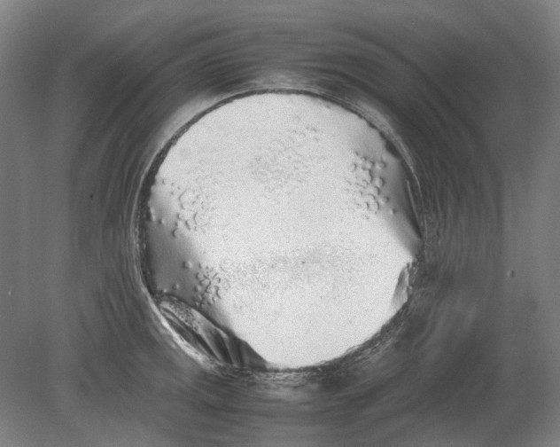 X0000080681141200701051027