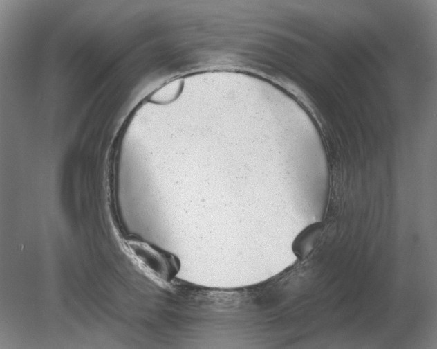 X0000080681142200701051027