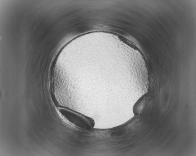 X0000080681143200701051027