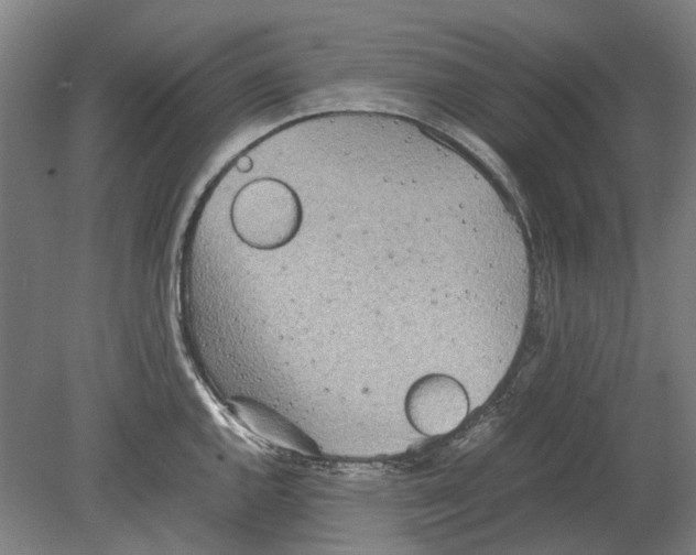 X0000080681144200701051027