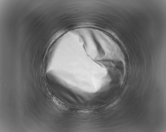 X0000080681145200701051027