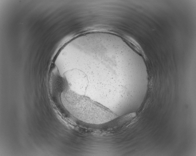 X0000080681146200701051027