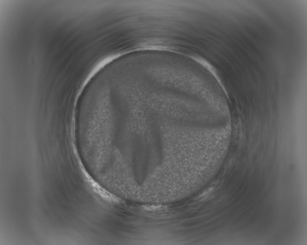 X0000080681147200701051027