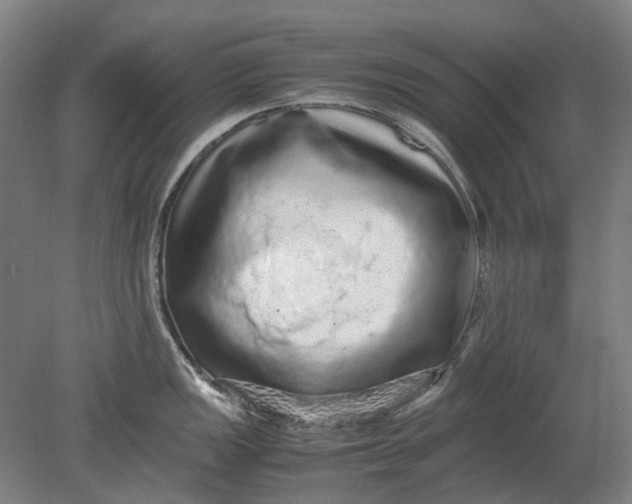 X0000080681149200701051027