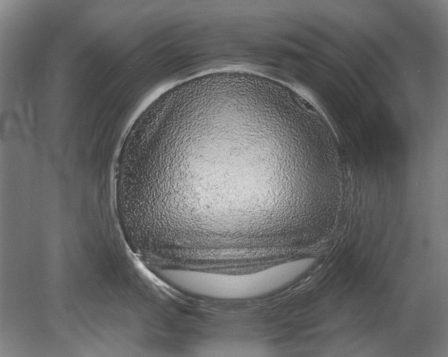 X0000080681151200701051027