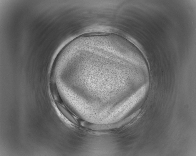 X0000080681152200701051028