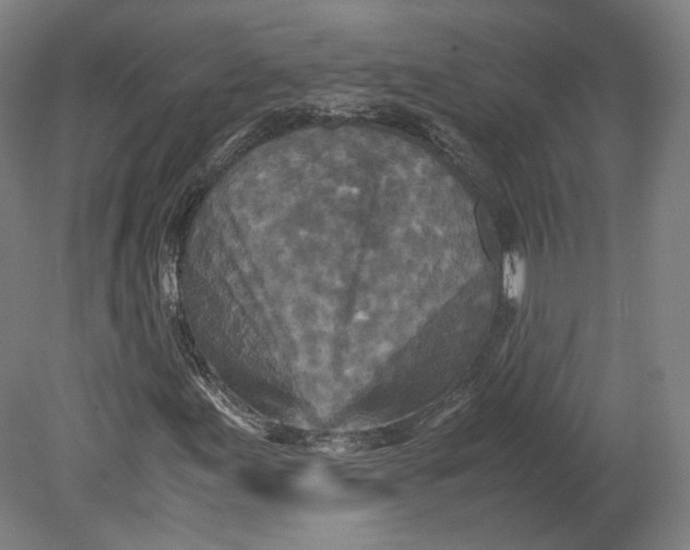 X0000080681155200701051027