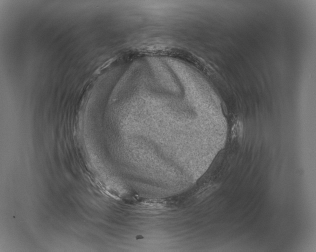 X0000080681156200701051027