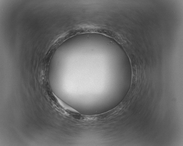 X0000080681157200701051027