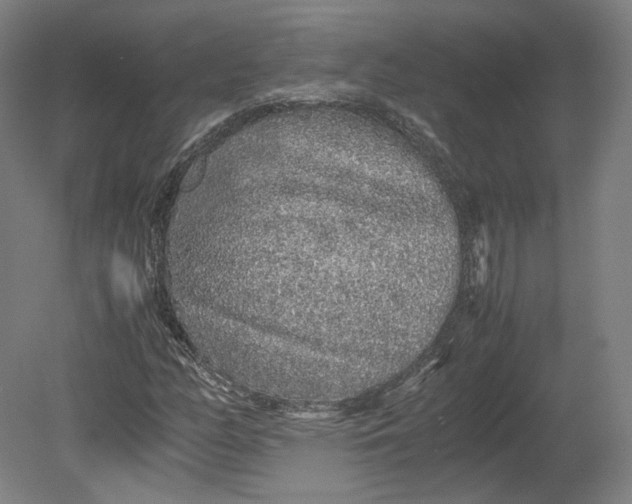 X0000080681158200701051027