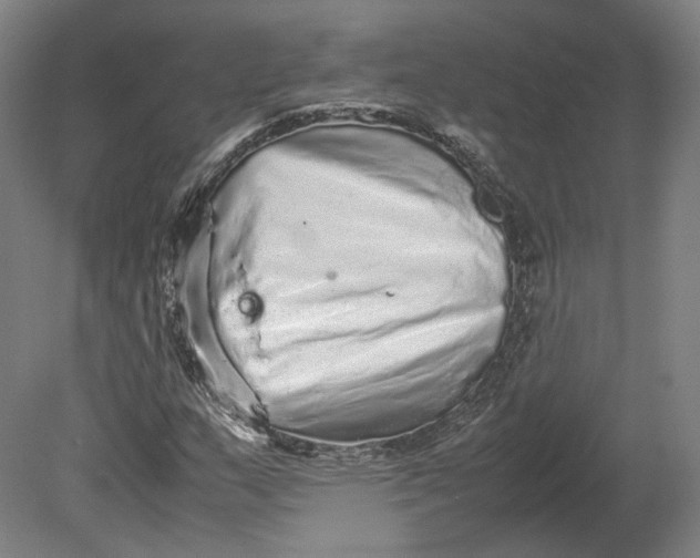 X0000080681159200701051027