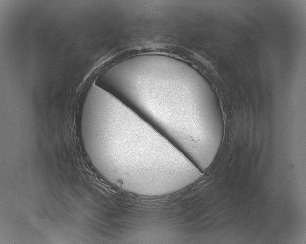 X0000080681160200701051027