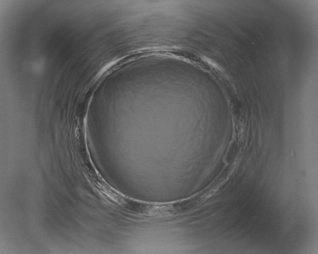 X0000080681161200701051027