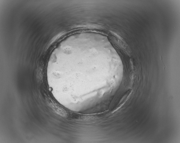 X0000080681163200701051027