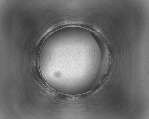 X0000080681165200701051026