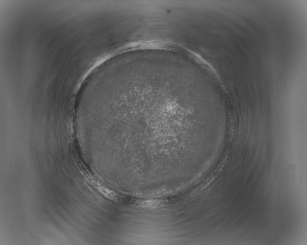 X0000080681166200701051026