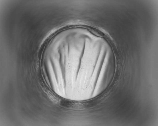 X0000080681167200701051026