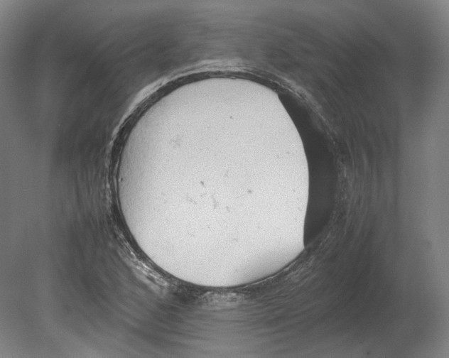 X0000080681168200701051026