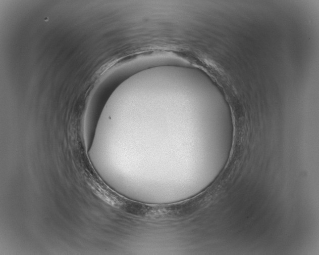 X0000080681169200701051026